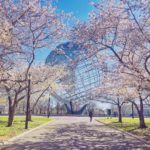 flushing-ny-unisphere-10