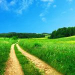 cropped-Beaten-Path-Through-a-Field-Religious-Stock-Photo.jpg